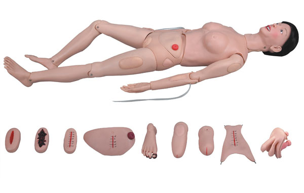 上?？等?高級(jí)全功能護(hù)理人訓(xùn)練模型（女性） KAR/2200